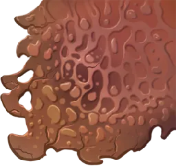 Ancient Leather