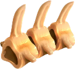 Bone Fragments