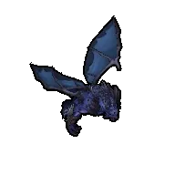 Behemoth